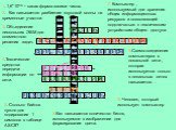 16 4 1. 1. 1,6*1016 – какая форма записи числа. экспоненциальная. 2. Как называется разбиение звуковой волны на временные участки. 2 дискретизация. 3. Объединение нескольких ЭВМ для совместного решения задач. 5 сеть. 4.Технические средства передачи информации по сети. 5. Сколько байтов нужно для код