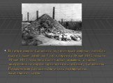 В лагере смерти Саласпилс мученической смертью погибли около 3 тысяч детей до 5 лет в период с 18 мая 1942 года по 19 мая 1943 года, тела были частью сожжёны, а частью захоронены на старом гарнизонном кладбище у Саласпилса. Подавляющее большинство из них подвергались выкачиванию крови.