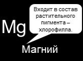 Mg Магний. Входит в состав растительного пигмента – хлорофилла.