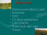 Black Lands. Nature reserve Black Lands; Kalmykia; 1990; 121 thousand hectares; Lake Manych; Water birds and saiga (сайгак); Nature.