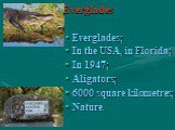 Everglades. Everglades; In the USA, in Florida; In 1947; Aligators; 6000 square kilometres; Nature.