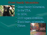 Great Smoky Mountains. Great Smoky Mountains; In the USA; In 1934; 2100 square kilometres; Black bears, salamander; Nature.