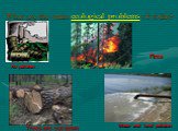 What are the main ecological problems of today? Air pollution Water and land pollution Fires Trees are cut down