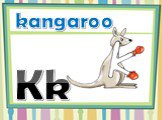 Kk kangaroo