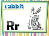 Rr rabbit