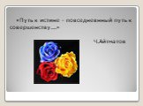 «Путь к истине - повседневнный путь к совершенству...» Ч.Айтматов