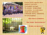 В июне 2010 года мы всем классом посетили Ростовский зоопарк. Из рассказа экскурсовода мы узнали, что некоторые животные занесены в Красную книгу, например, белый медведь. Нам стало интересно: Что такое Красная книга? Почему она красная?