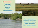 Природа Ростовской области очень разнообразна. Это определило видовое богатство животного мира, среди которого есть редкие виды. Гипотеза: