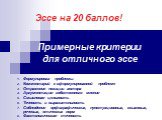 Примерные критерии для отличного эссе. Формулировка проблемы Комментарий к сформулированной проблеме Отражение позиции автора Аргументация собственного мнения Смысловая цельность Точность и выразительность Соблюдение орфографических, пунктуационных, языковых, речевых, этических норм Фактологическая 