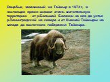 Овцебык, завезенный на Таймыр в 1974 г., в настоящее время освоил очень значительную территорию - от р.Большой Балахни на юге до устья р.Ленинградской на севере и от Нижней Таймыры на западе до восточного побережья Таймыра.