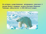 За историю существования заповедника отмечено 2 захода белого медведя на реки Бикада и Верхняя Таймыра (оба участка - в 200-300 км от моря).