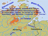 Это один из крупнейших заповедников России, расположенный на севере Красноярского края, на полуострове Таймыр. Он состоит из Основной территории, трех филиалов и охранной зоны “Бикада”.
