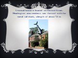 Unusual house is located on Oxford Street. Headington area residents saw the roof with the metal tail shark, a length of about 7.5 m