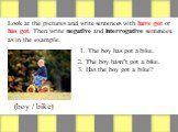 Look at the pictures and write sentences with have got or has got. Then write negative and interrogative sentences, as in the example. (boy / bike) 1. The boy has got a bike. 2. The boy hasn’t got a bike. 3. Has the boy got a bike?