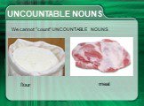 UNCOUNTABLE NOUNS We cannot "count" flour meat