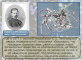 Ещё в 1887 г. русский микробиолог С.Н. Виноградский открыл бактериальный хемосинтез. Оказалось, что некоторые бактерии тоже умеют создавать новое органическое вещество из неорганического, но тратят на это энергию, получаемую не от солнечных лучей, а от химических реакций, при окислении аммиака, водо