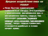 Вредное воздействие пива на сердце. Пиво быстро переполняет кровеносные сосуды. Это приводит к варикозному расширению вен и расширению границ сердца. Так возникает синдром "пивного сердца" или синдром "капронового чулка", когда сердце провисает, становится дряблым и плохо качает 