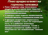 Пиво вредно влияет на гормоны человека. Пиво содержит ряд токсических веществ, в том числе соли тяжелых металлов, вызывающих изменения в эндокринной системе. У пьющих пиво мужчин разрастаются грудные железы, становится шире таз. У женщин возрастает вероятность заболеть раком, а если это кормящая мат