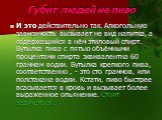 Губит людей не пиво. И это действительно так. Алкогольную зависимость вызывает не вид напитка, а содержащийся в нём этиловый спирт. Бутылка пива с пятью объёмными процентами спирта эквивалентна 60 граммам водки. Бутылка крепкого пива, соответственно , - это сто граммов, или полстакана водки. Кстати,