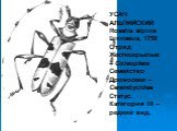 УСАЧ АЛЬПИЙСКИЙ Rosalia alpina Linnaeus, 1758 Отряд Жесткокрылые – Coleoptera Семейство Дровосеки – Cerambycidae Статус. Категория III – редкий вид.