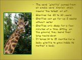 The word “giraffe” comes from an arabic word ’zirafah’ which means “the tallest of all”. Giraffes live 20 to 30 years Giraffes can go for up 2 weeks without water Giraffes only sleep for a few minutes at a time. Sitting on the ground, they bend their long necks down It takes 14 to 15 months for a ba