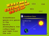 WHAT ARE GREENHOUSE GASES? Greenhouse gases are gases in the Earth’s atmosphere that collect heat and light from the sun. СO2 CH4 NO2 CFC