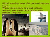 Global warning make the sea level become higher. Water covers many low land islands. Animals lose a source of food in their habitat. They die.