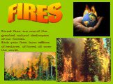 FIRES. Forest fires are one of the greatest natural destroyers of our forests. Each year fires burn millions of hectares of forest all over the world.