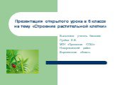 Презентация открытого урока в 6 классе на тему «Строение растительной клетки». Выполнила учитель биологии Лунёва Е.В. МОУ «Орловская СОШ» Новоусманский район Воронежская область