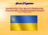 Флаг Украины. Государственный Флаг Украины представляет собой прямоугольное полотнище, состоящее из двух горизонтальных равновеликих полос синего и желтого цветов , символизирующих золотое пшеничное поле под голубым небом. Кроме того, синий цвет символизирует горы и реки, а желтый - Киевскую Русь