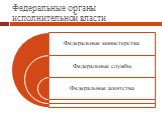 Федеральные органы исполнительной власти