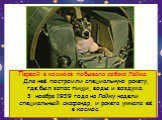 Первой в космосе побывала собака Лайка. Для неё построили специальную ракету, где был запас пищи, воды и воздуха. 3 ноября 1959 года на Лайку надели специальный скафандр, и ракета умчала её в космос.