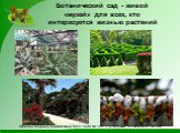 Ботанический сад - живой «музей» для всех, кто интересуется жизнью растений