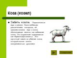 Коза (козел). Забить козла. Первоначально игра в домино была любимым развлечением пожарных, ей предшествовала игра в козла, обозначаемая именно как забивание козла. Это выражение определяется как «браконьерствовать». Это шуточный намек на убиение козла, который вполне может восприниматься русскими.