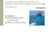 Дельфины могут воспринимать как звук, так и инфразвук такой частоты, которые сами не в состоянии воспроизвести. Наиболее распространённый звук – от 7 до 18 кГц; «Лай» – от 100 до 10 кГц.