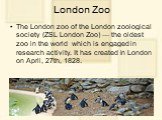 London Zoo. The London zoo of the London zoological society (ZSL London Zoo) — the oldest zoo in the world which is engaged in research activity. It has created in London on April, 27th, 1828. It is located in northern part of Regent's Park (Regent's Canal proceeds through it)