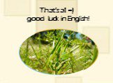 That’s all =) good luck in English!