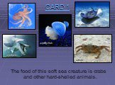 The food of this soft sea creature is crabs and other hard-shelled animals.