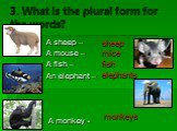 3. What is the plural form for the words? A sheep – A mouse – A fish – An elephant – A monkey -. sheep mice fish elephants monkeys