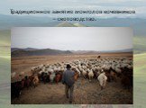 Традиционное занятие монголов кочевников – скотоводство.