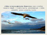«Ча́йка по и́мени Джо́натан Ли́вингстон» (англ. Jonathan Livingston Seagull) — повесть-притча, рассказывающая о чайке, учившейся жизни и искусству полёта.