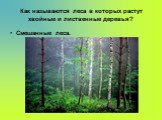 Как называются леса в которых растут хвойные и лиственные деревья? Смешанные леса.