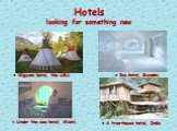 Hotels looking for something new ● A tree-house hotel, India ● Ice hotel, Sweden ● Under the sea hotel, Miami ● Wigwam hotel, the USA