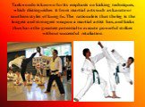 Taekwondo is known for its emphasis on kicking techniques, which distinguishes it from martial arts such as karate or southern styles of kung fu. The rationale is that the leg is the longest and strongest weapon a martial artist has, and kicks thus have the greatest potential to execute powerful str
