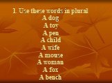 1. Use these words in plural A dog A toy A pen A child A wife A mouse A woman A fox A bench