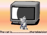 in front of. The cat is..………....….…the television