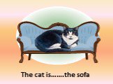 The cat is…….the sofa on
