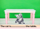 under. The cat is…....………….. the table.