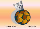 behind. The cat is………....… the ball