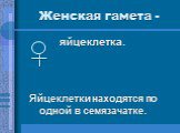 Женская гамета -. яйцеклетка. Яйцеклетки находятся по одной в семязачатке.